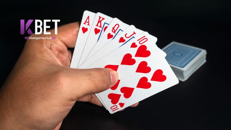 Quyền và nghĩa vụ của người chơi 2 Quyền và nghĩa vụ của người chơi
